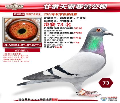 甘肅天霸決賽73名