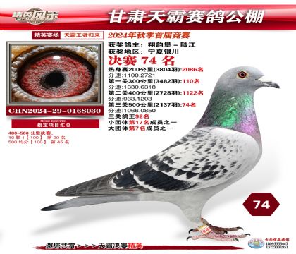 甘肅天霸決賽74名