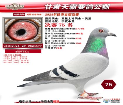 甘肅天霸決賽75名