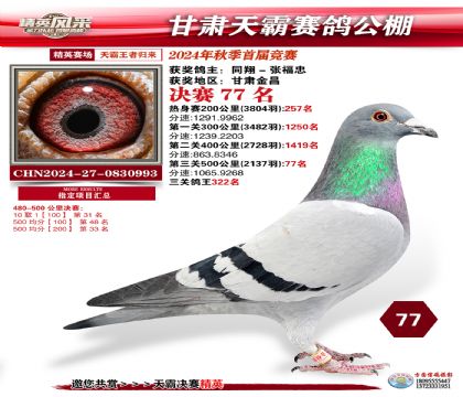 甘肅天霸決賽77名