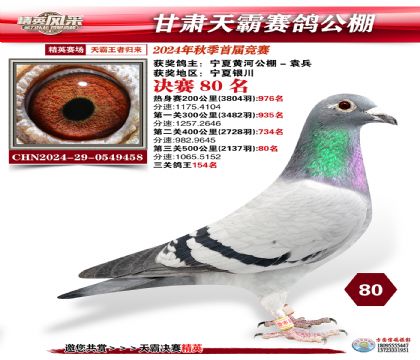 甘肅天霸決賽80名