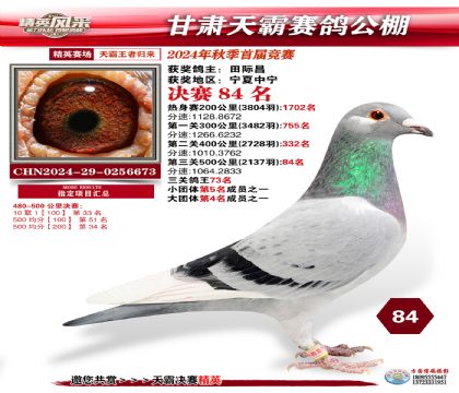 甘肅天霸決賽84名