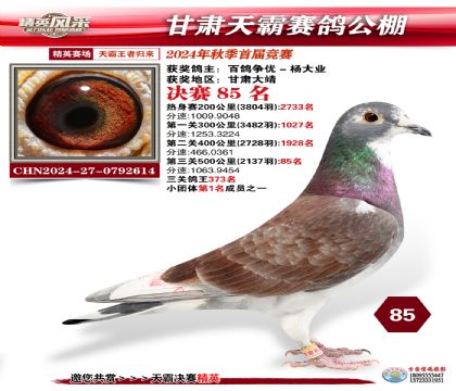 甘肅天霸決賽85名