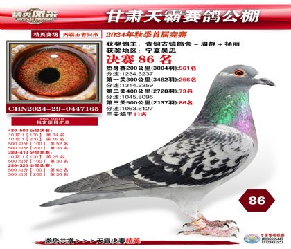 甘肅天霸決賽86名