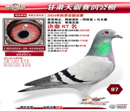 甘肅天霸決賽87名