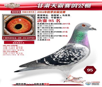 甘肅天霸決賽95名