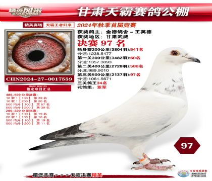 甘肅天霸決賽97名