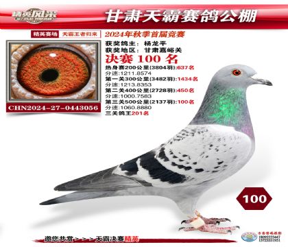 甘肅天霸決賽100名