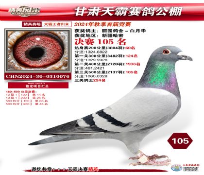 甘肅天霸決賽105名