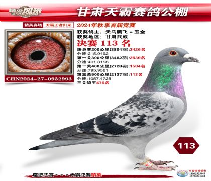 甘肅天霸決賽113名