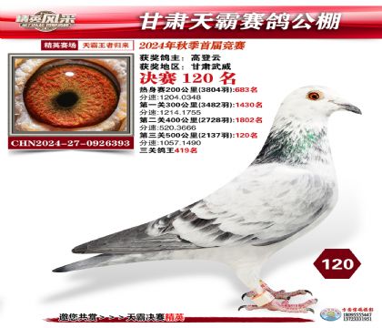 甘肅天霸決賽120名