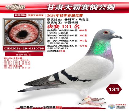甘肅天霸決賽131名