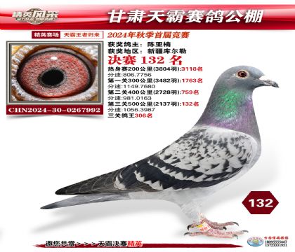 甘肅天霸決賽132名