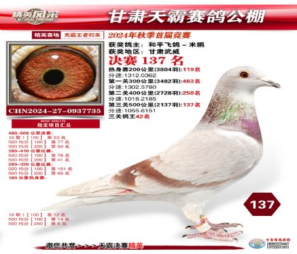 甘肅天霸決賽137名