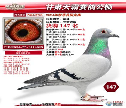 甘肅天霸決賽147名