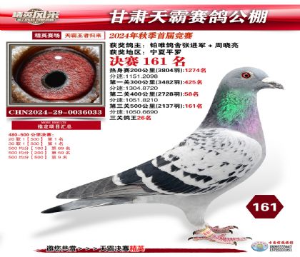 甘肅天霸決賽161名