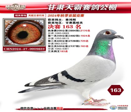 甘肅天霸決賽163名