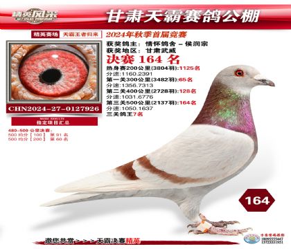 甘肅天霸決賽164名