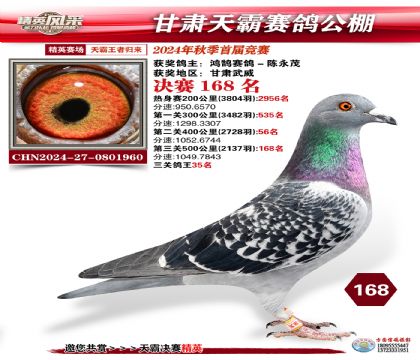 甘肅天霸決賽168名