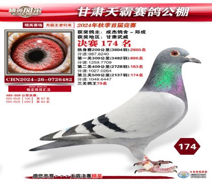 甘肅天霸決賽174名