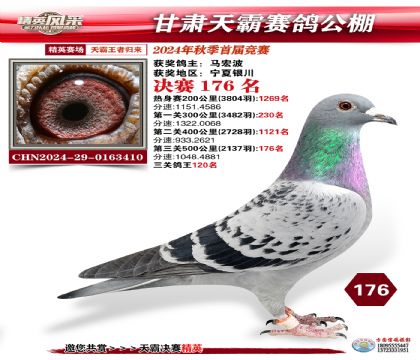 甘肅天霸決賽176名