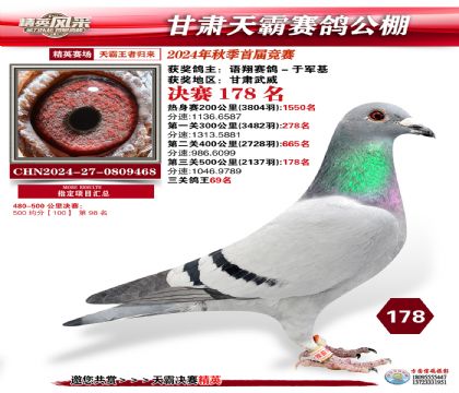 甘肅天霸決賽178名