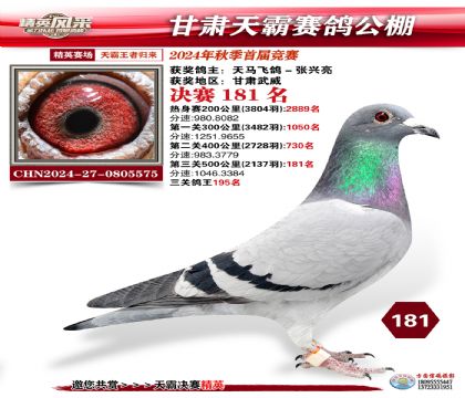 甘肅天霸決賽181名