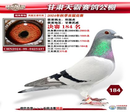 甘肅天霸決賽184名