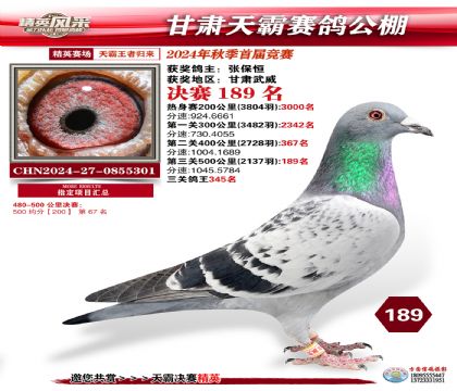 甘肅天霸決賽189名