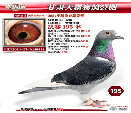 甘肅天霸決賽195名