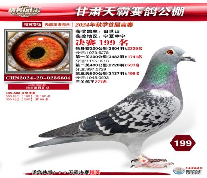 甘肅天霸決賽199名