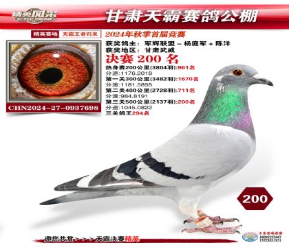 甘肅天霸決賽200名
