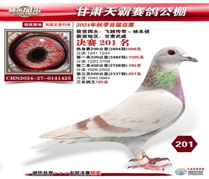 甘肅天霸決賽201名