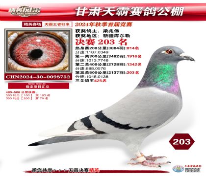 甘肅天霸決賽203名