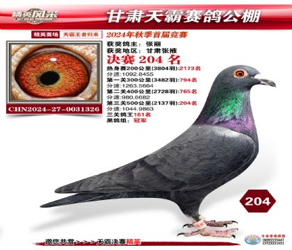 甘肅天霸決賽204名