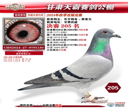 甘肅天霸決賽205名