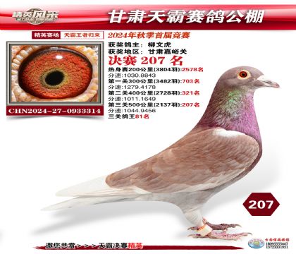 甘肅天霸決賽207名