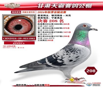甘肅天霸決賽208名