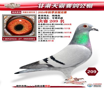 甘肅天霸決賽209名