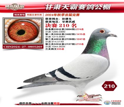 甘肅天霸決賽210名