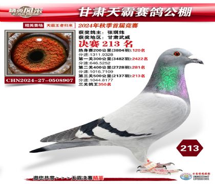 甘肅天霸決賽213名