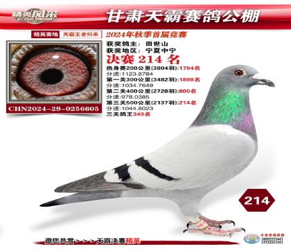 甘肅天霸決賽214名