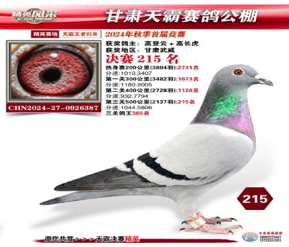 甘肅天霸決賽215名