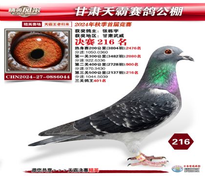 甘肅天霸決賽216名