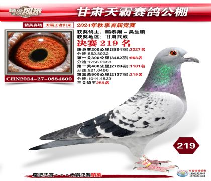 甘肅天霸決賽219名