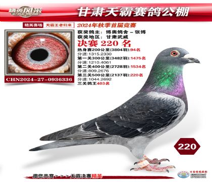 甘肅天霸決賽220名