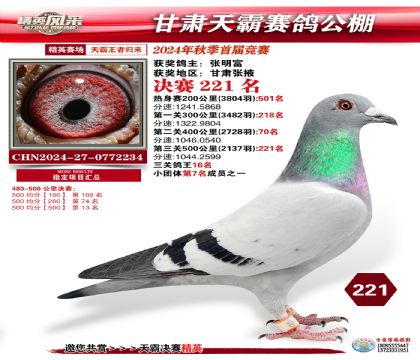 甘肅天霸決賽221名