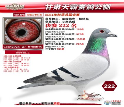 甘肅天霸決賽222名