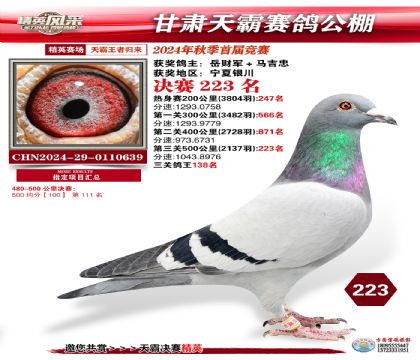 甘肅天霸決賽223名