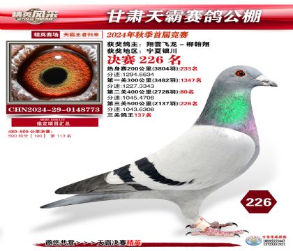 甘肅天霸決賽226名